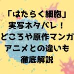 はたらく細胞実写ネタバレ見どころや原作マンガとアニメとの違いも徹底解説