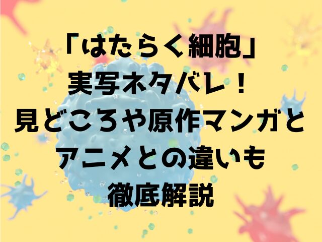 はたらく細胞実写ネタバレ見どころや原作マンガとアニメとの違いも徹底解説